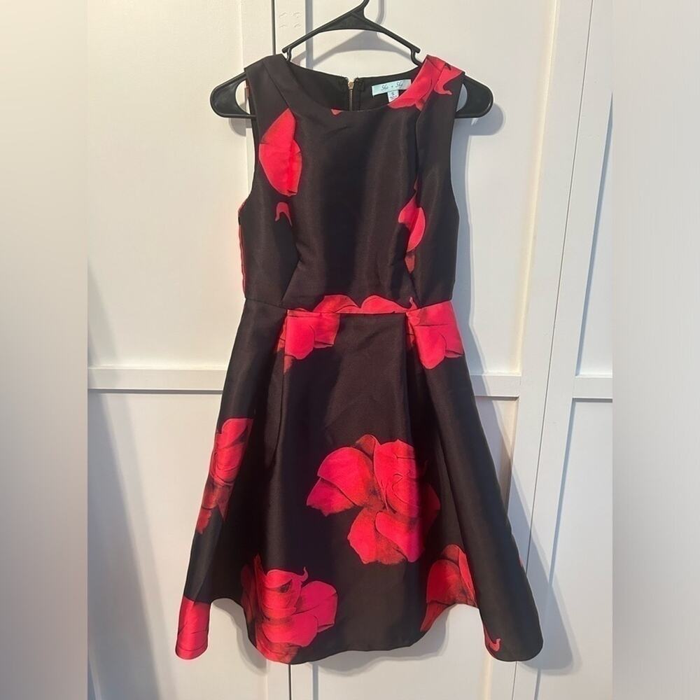 She + Sky Red and Black Fit and Flare Dress